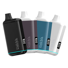 Randy's Inspo+ (Plus) Concentrate Vaporizer