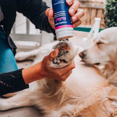 Honest Paws - CBD Relief Pet Balm